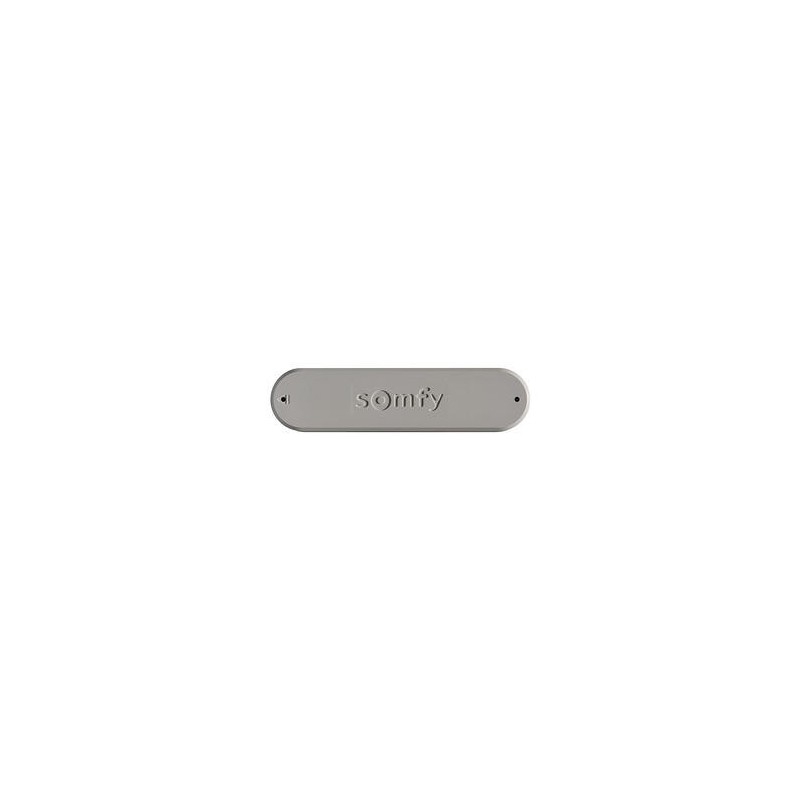 Capteur vent SOMFY Eolis 3D wirefree IO gris creme